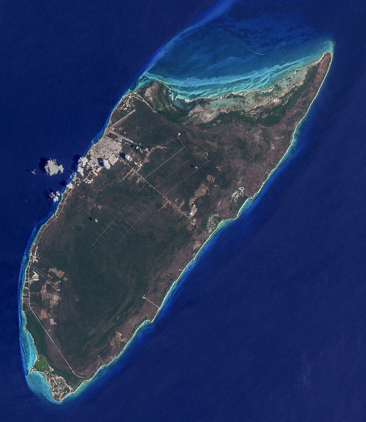 Destination view of Cozumel. Cozumel - Palmeras Restaurant (Our 1996 Margaritas)